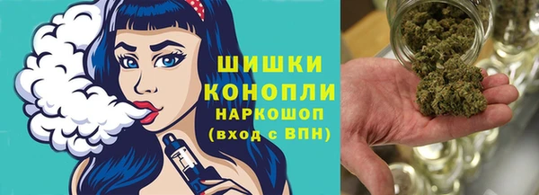 прущий лед Богородицк
