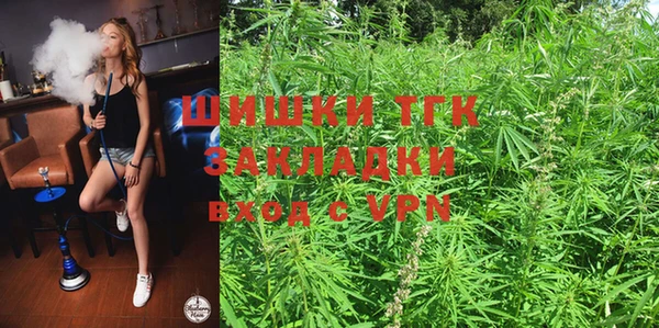 молекула духа Бородино