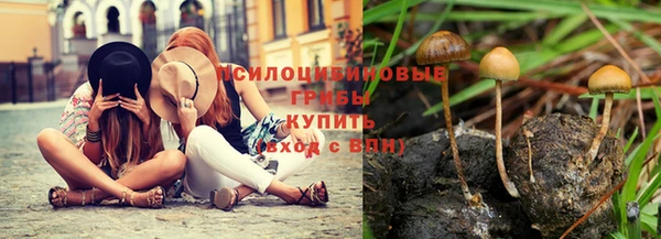 герыч Богородск