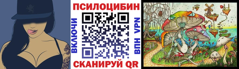 Галлюциногенные грибы GOLDEN TEACHER  Купить  Меленки 